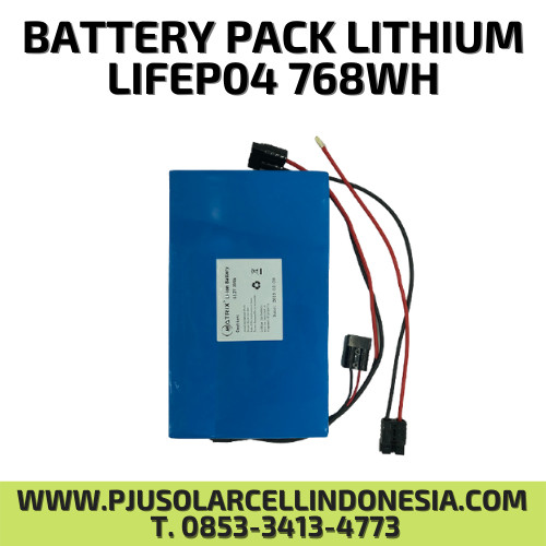 BATTERY PACK LITHIUM LIFEP04 768WH